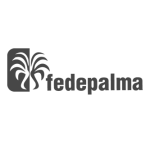 fedepalma